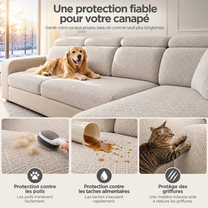 Canapé beige avec chien, et trois cas de protection : poils, liquide renversé, griffes de chat 5