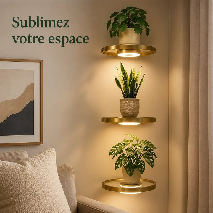 Trois étagères rondes dorées superposées sur un mur beige, chacune éclairée en dessous et portant une plante verte, près d'un canapé. 1