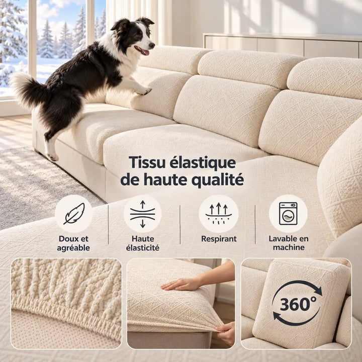 Housses crème sur canapé, border collie qui grimpe, détails du tissu souple, élastique et lavable en machine 4