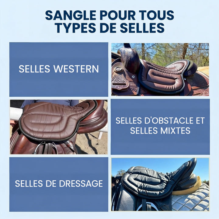 Montage de trois selles équipées du coussin : western, saut ou polyvalente, et dressage 6
