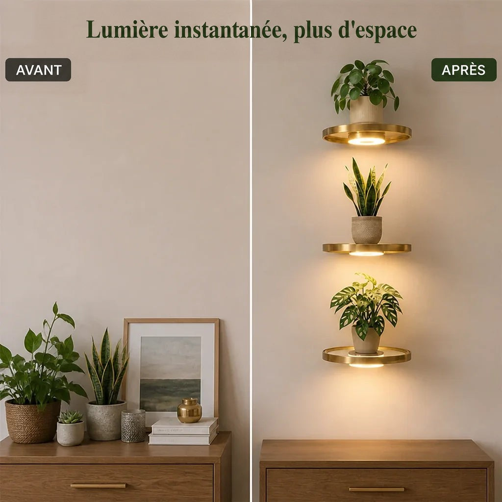 Avant et après : une commode encombrée de plantes à gauche, un mur épuré avec trois étagères dorées éclairées à droite. 4