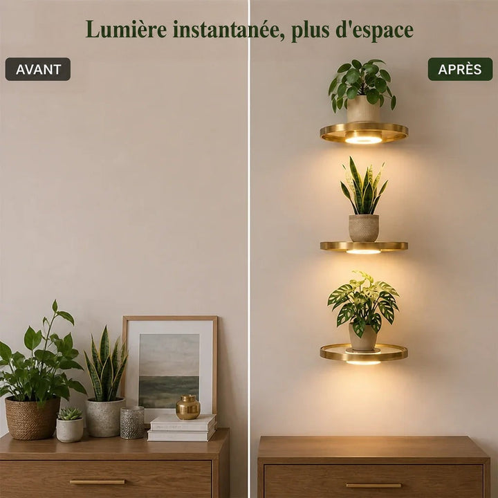Avant et après : une commode encombrée de plantes à gauche, un mur épuré avec trois étagères dorées éclairées à droite. 4