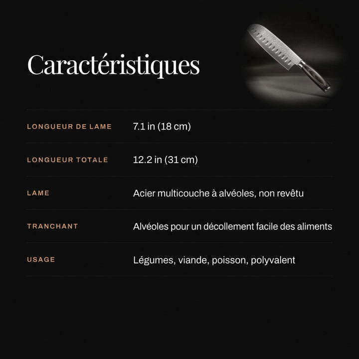 Tableau de caractéristiques sur fond noir, avec une petite vignette du couteau en haut à droite 4