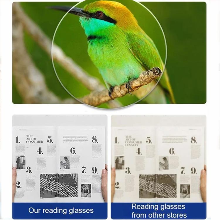 Comparaison de netteté : un oiseau vert et jaune observé à travers un verre, et une page de journal plus nette qu'une page terne. 8