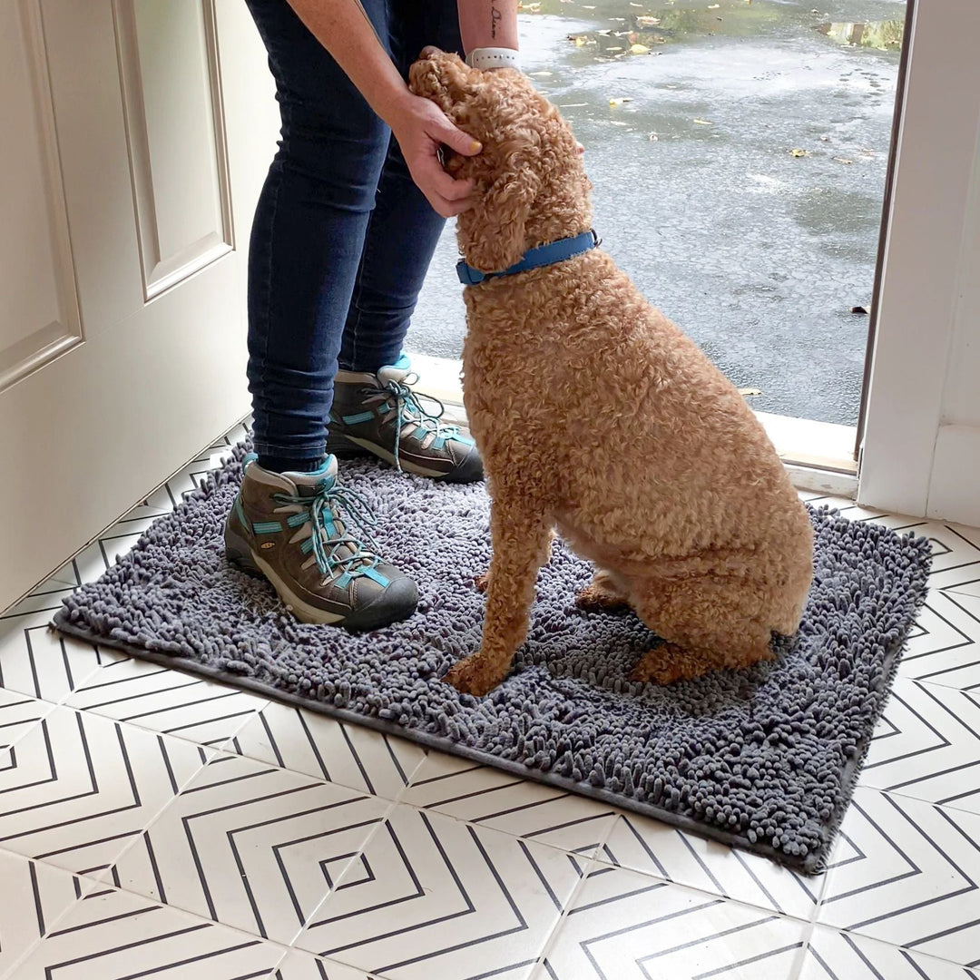 Chien bouclé roux assis sur le tapis gris à l'entrée, caressé par une personne en chaussures de randonnée. 11