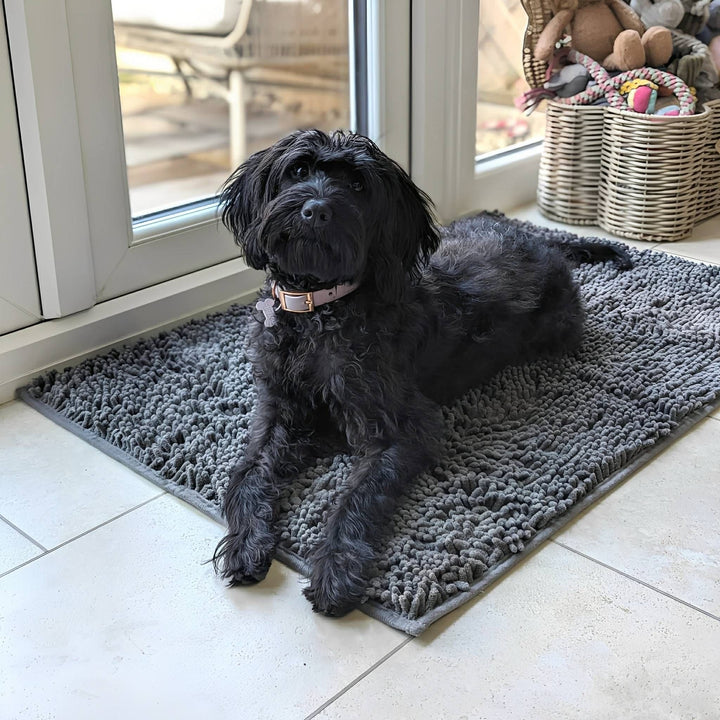 Chien noir couché sur le tapis gris à l'entrée, sur carrelage clair, près d'un panier en osier de jouets. 3