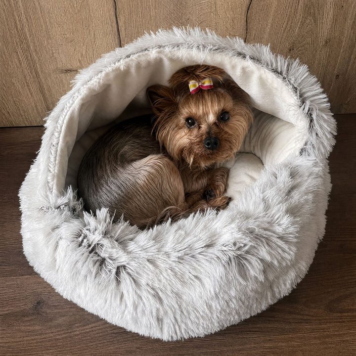 Petit yorkshire avec un nœud sur la tête, lové dans le panier rond en peluche grise, capuche ouverte, sur un parquet foncé. 9