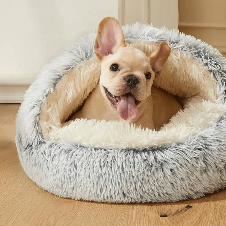 Chiot bouledogue français beige, langue sortie, installé dans le panier-cave en peluche grise à capuche relevée, posé sur un parquet. 1