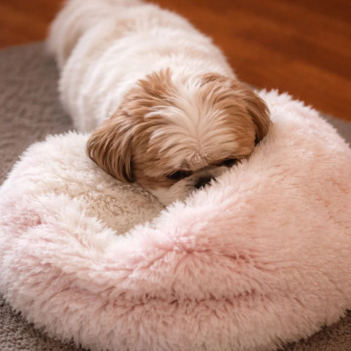 Shih tzu blotti la tête dans le bord d'un panier rond en peluche rose pâle, vu de dessus, posé sur un tapis. 12