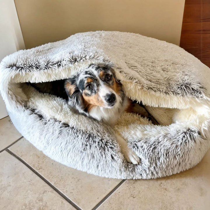 Berger australien bleu merle regardant sous la capuche soulevée du panier en peluche gris et blanc, posé sur un carrelage beige. 7