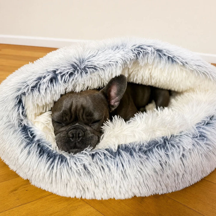 Bouledogue français gris foncé endormi, le museau dépassant du panier en peluche longue blanche aux pointes bleutées, capuche rabattue. 2