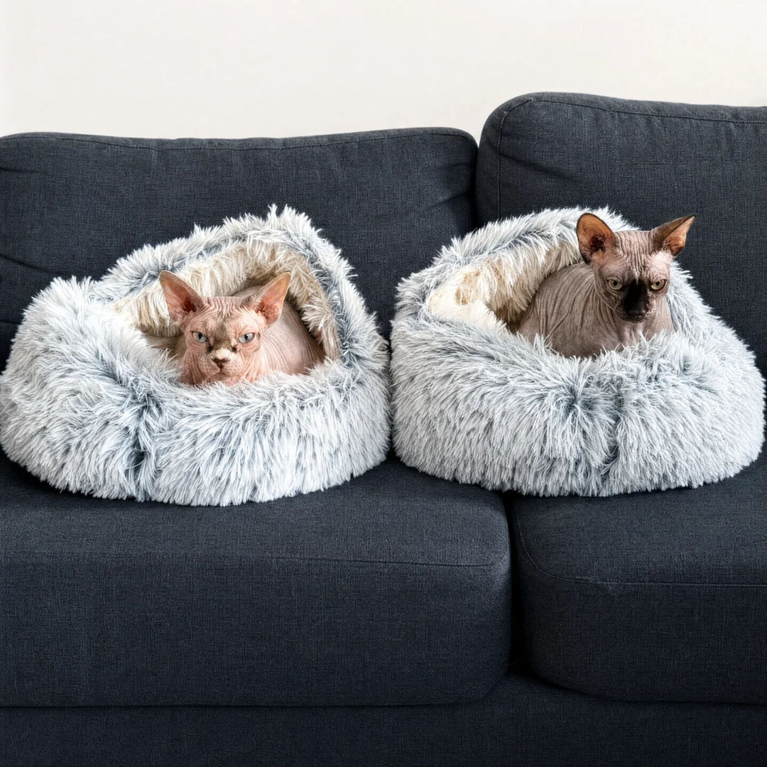 Deux paniers en peluche grise sur un canapé bleu foncé, chacun occupé par un chat sphynx sans poils. 8
