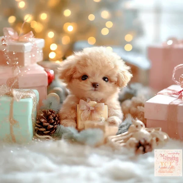 Petit chiot en peluche beige assis sur un tapis blanc moelleux, parmi des cadeaux roses, une pomme de pin et des lumières. 4