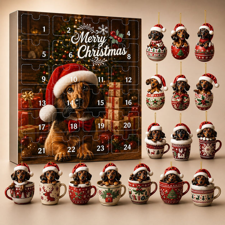 Boîte du calendrier à 24 cases numérotées avec un teckel en bonnet de Père Noël, entourée des décorations de teckels en tasses et en œufs. 1