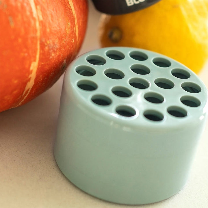 Insert vert d'eau vu de dessus, avec ses nombreux trous ronds pour les tiges, posé près d'une courge orange et d'un citron. 14
