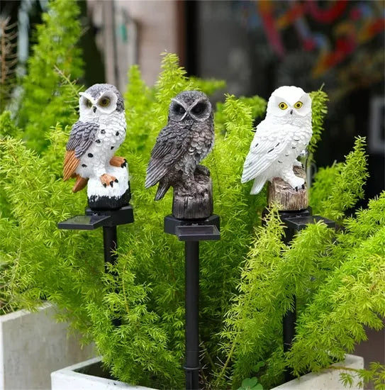 Trois hiboux solaires de jour, gris et blanc, brun et blanc, plantés dans des plantes vertes feuillues en jardinière. 10
