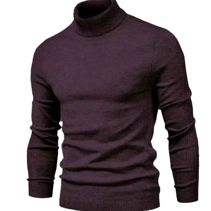 Pull à col roulé prune foncé vu de face, avec col côtelé et manches longues 4