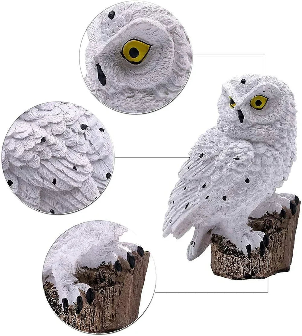 Hibou blanc moucheté de noir sur sa souche brune, avec trois agrandissements de l'œil jaune, des plumes et des serres. 14