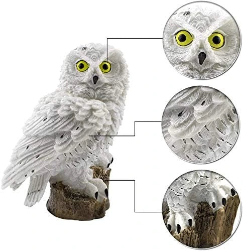 Hibou blanc éteint sur sa souche, avec trois cercles agrandis montrant les yeux jaunes, le plumage sculpté et les griffes. 11