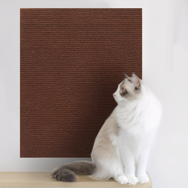 Même panneau de tapis, ici en marron, fixé au mur derrière un chat blanc et beige assis sur une étagère. 10