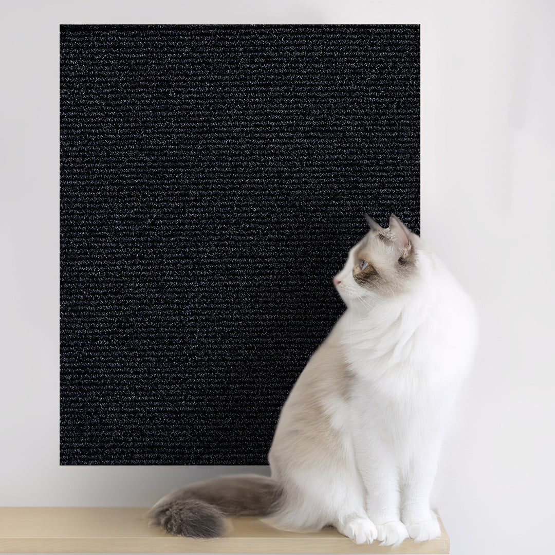 Même panneau de tapis, ici en noir, fixé au mur derrière un chat blanc et beige assis sur une étagère. 8