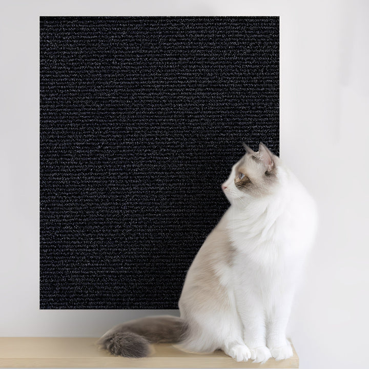 Même panneau de tapis, ici en noir, fixé au mur derrière un chat blanc et beige assis sur une étagère. 8