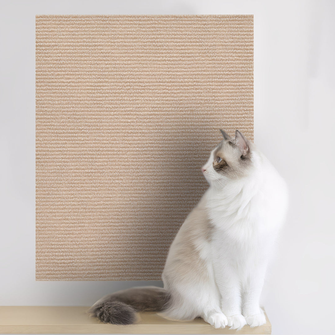 Même panneau de tapis, ici en beige, fixé au mur derrière un chat blanc et beige assis sur une étagère. 9