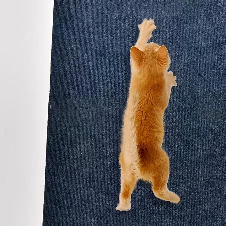 Chaton roux étiré de tout son long, les pattes levées, griffant un grand tapis bleu foncé à texture côtelée. 5