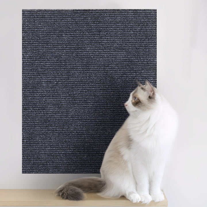 Chat blanc et beige assis sur une étagère, regardant un grand panneau de tapis gris foncé fixé au mur. 7