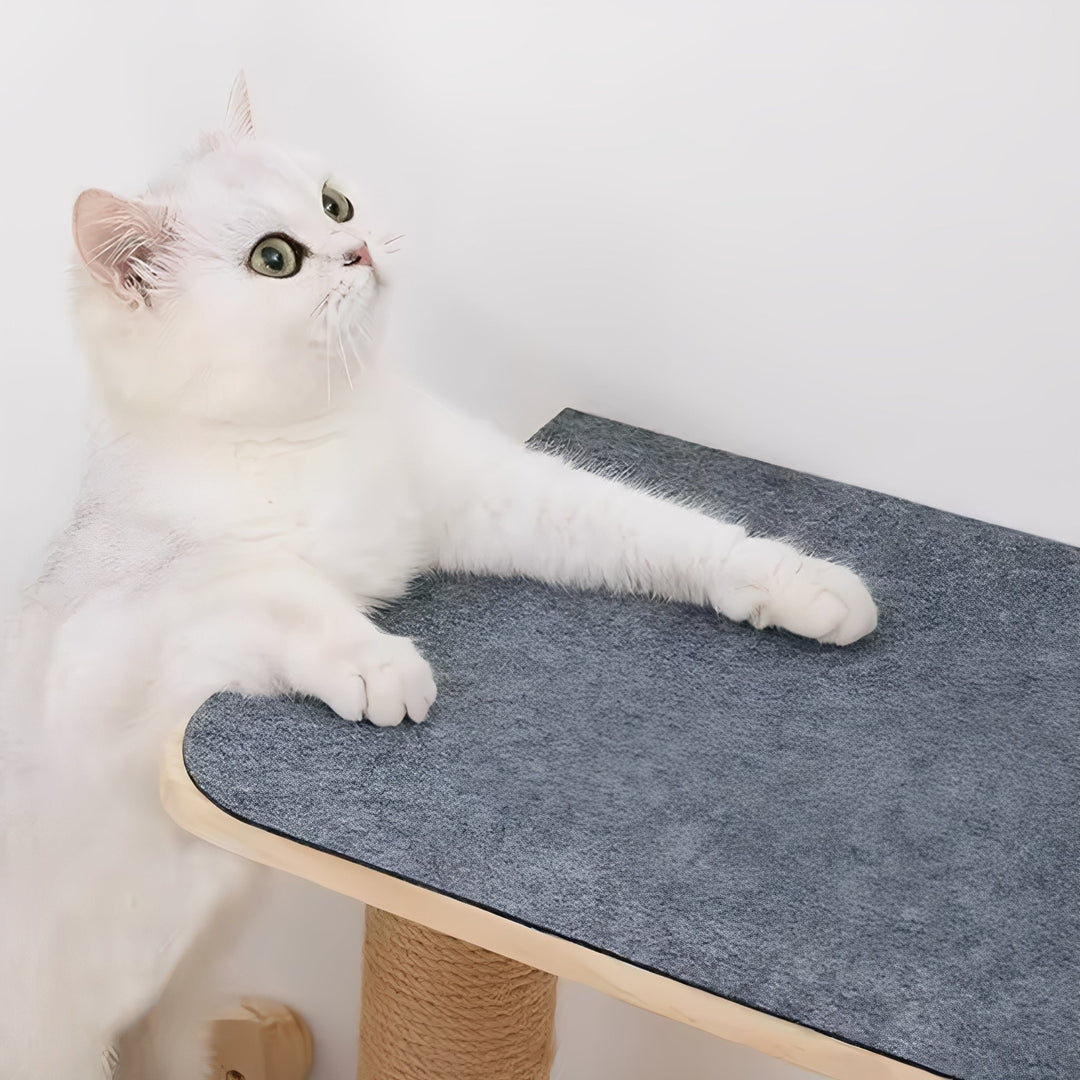 Chat blanc appuyant ses pattes sur le bord d'une plateforme en bois recouverte de tapis gris, à côté d'un poteau en corde. 4