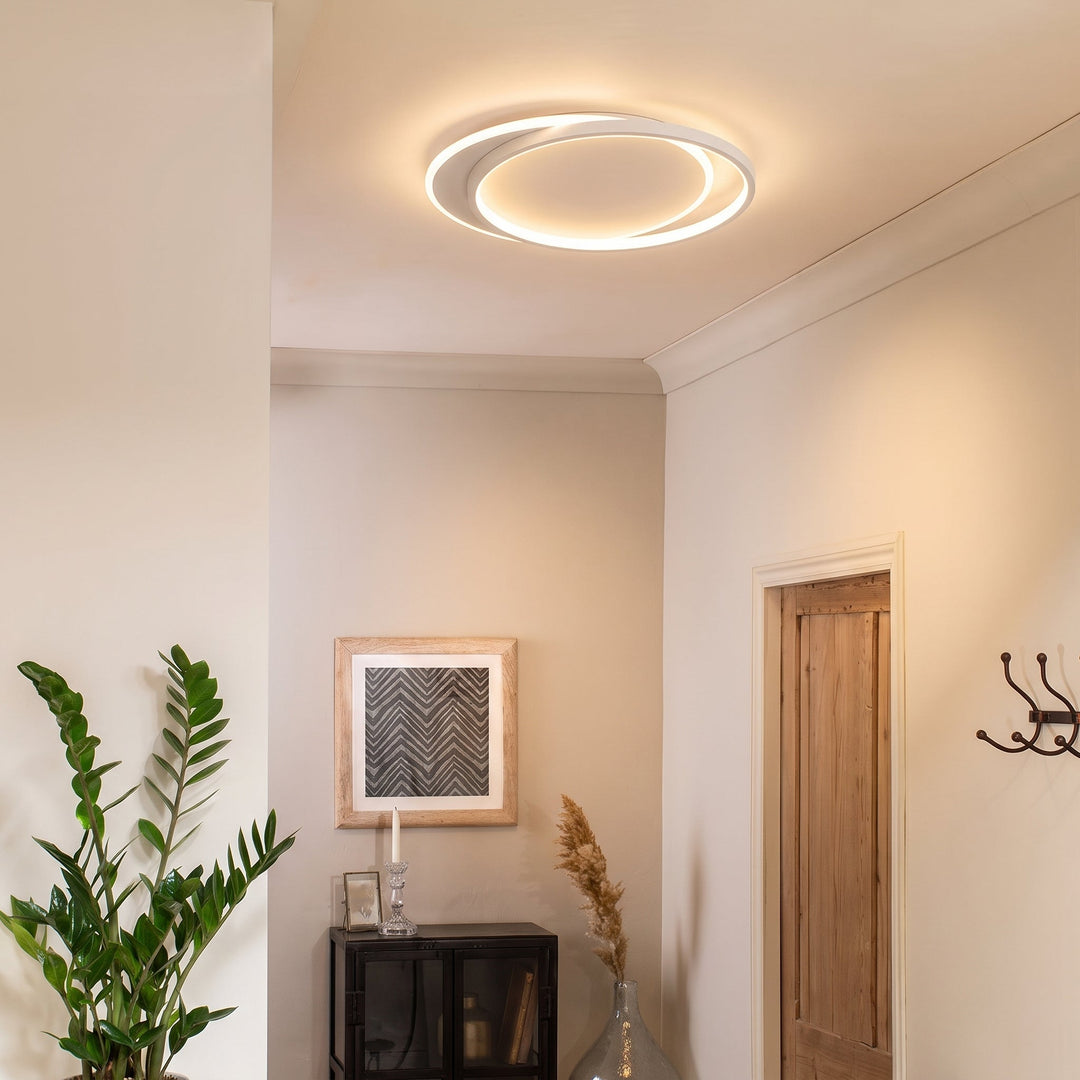 Plafonnier à anneaux dans une entrée avec plante verte, meuble noir, cadre et porte en bois 4