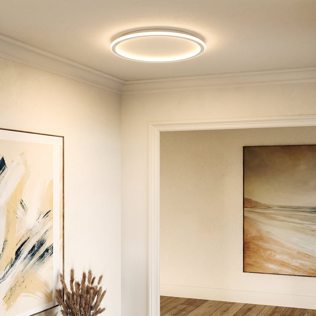 Plafonnier rond allumé dans une entrée aux moulures blanches, entre deux tableaux et un bouquet d'épis séchés. 3