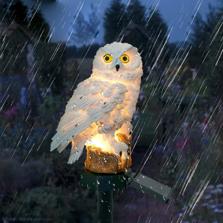 Hibou blanc allumé sous une pluie battante, gouttes d'eau sur son plumage, illustrant sa résistance aux intempéries. 10