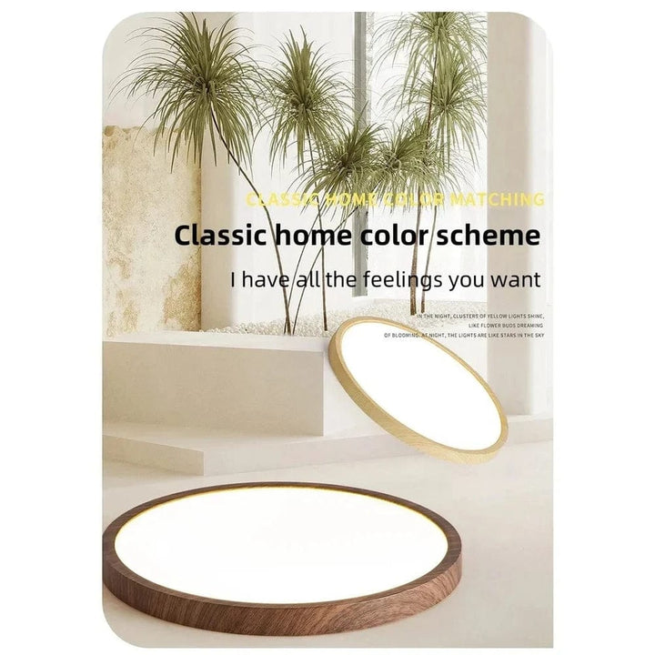 Deux plafonniers ronds, l'un clair et l'autre brun foncé, posés dans un intérieur lumineux avec des plantes décoratives. 4