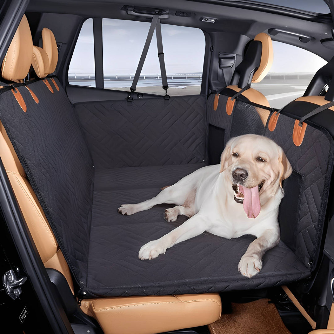 Labrador clair allongé, langue sortie, sur l'extension matelassée noire installée sur la banquette arrière d'une voiture aux sièges beiges. 1