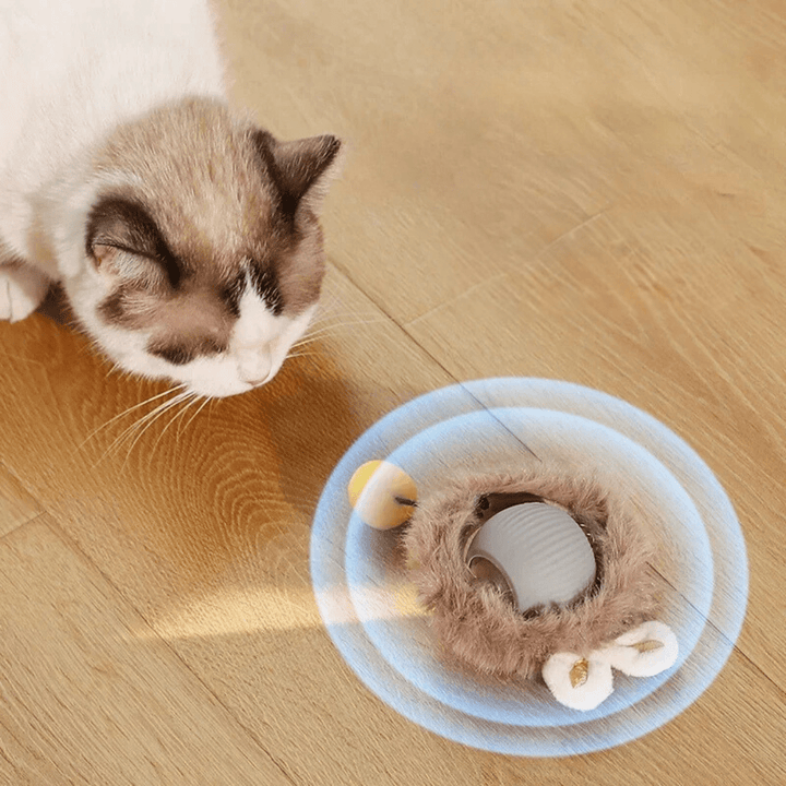 Chat penché sur la balle grise dans sa couronne de fourrure beige, entourée de cercles bleus évoquant le mouvement. 6
