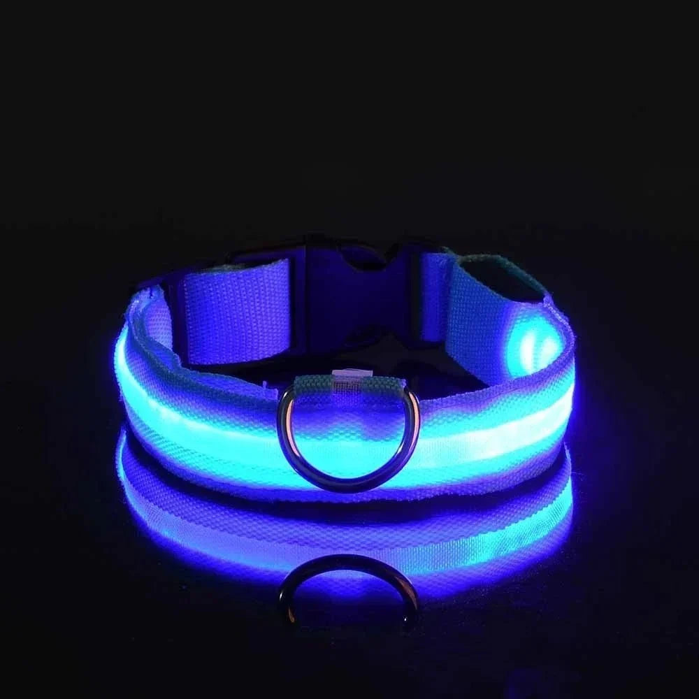 Collier bleu allumé sur fond noir, bande lumineuse bleue et reflet sur la surface brillante. 4
