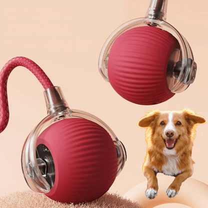 Deux balles rouges nervurées dans leur coque transparente, l'une avec sa corde tressée, à côté d'un chien souriant sur fond pêche. 1
