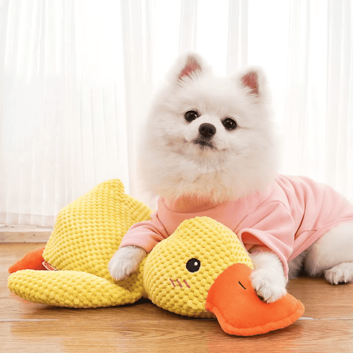 Petit chien blanc en pull rose allongé contre le canard en peluche jaune, patte posée sur son bec 2