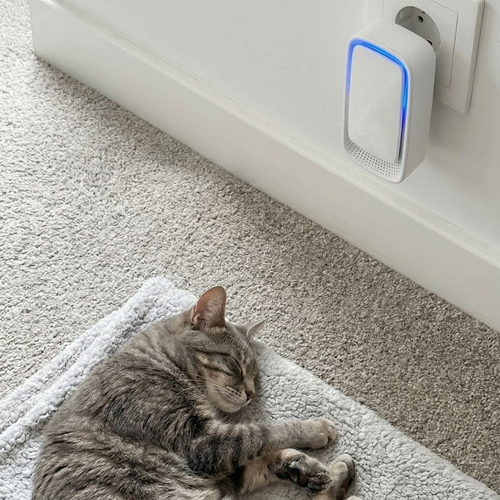 Appareil branché sur une prise près d'une plinthe, un chat gris endormi sur une couverture 4