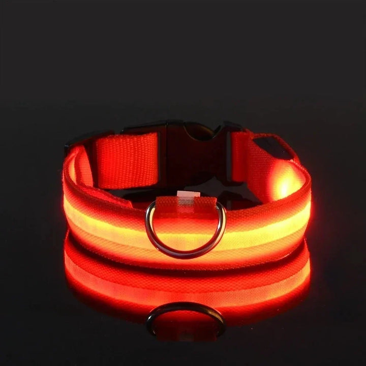 Collier orange allumé sur fond noir, bande lumineuse jaune-orangé, boucle noire, anneau en D et reflet. 8