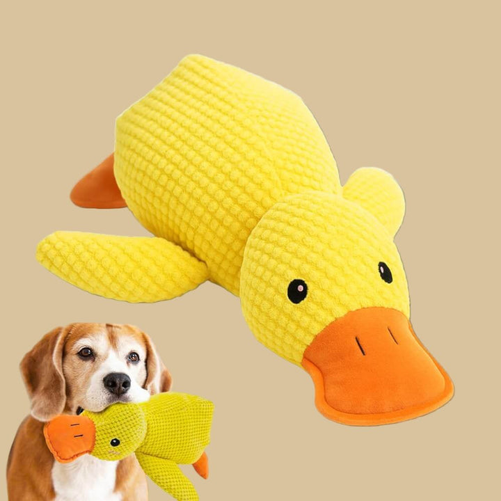 Canard en peluche jaune sur fond beige, avec un beagle qui tient le jouet dans sa gueule 3