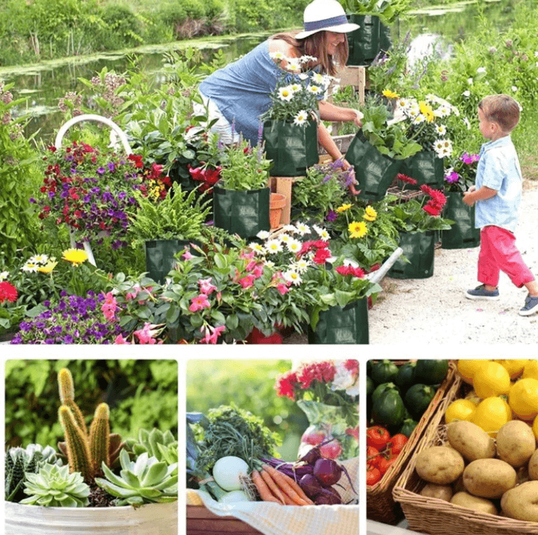 Sacs de culture verts remplis de fleurs colorées dans un jardin, avec une femme et un enfant, et récoltes de légumes en dessous. 12