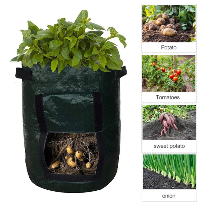Sac de culture vert foncé avec feuillage au sommet et fenêtre ouverte laissant voir racines et pommes de terre, avec vignettes de légumes à droite. 3