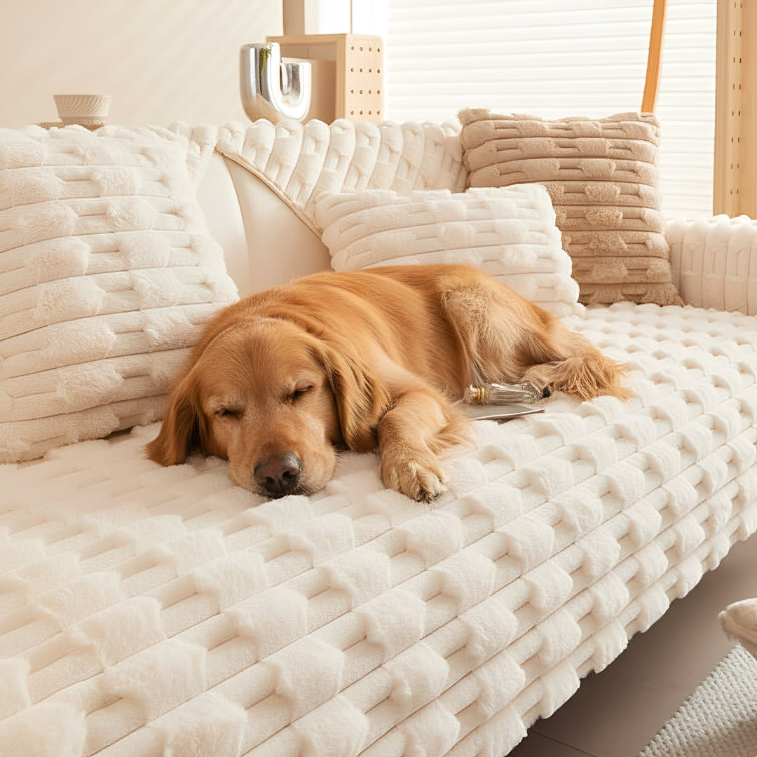 Golden retriever endormi sur un canapé recouvert d'une housse peluche crème à relief en briques, entouré de coussins assortis. 1