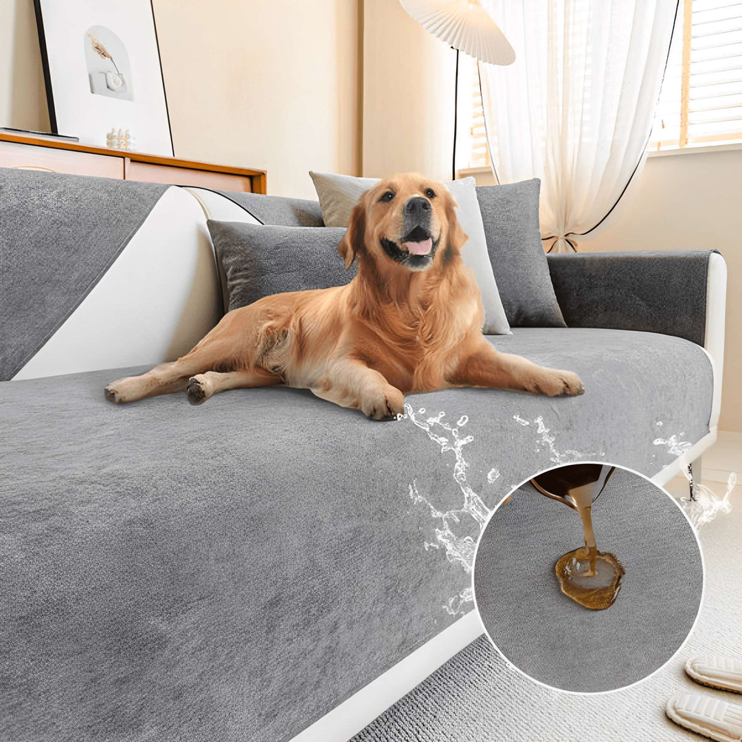 Housse grise sur un canapé avec un golden retriever allongé dessus, éclaboussures d'eau et gros plan sur une boisson versée qui perle. 1