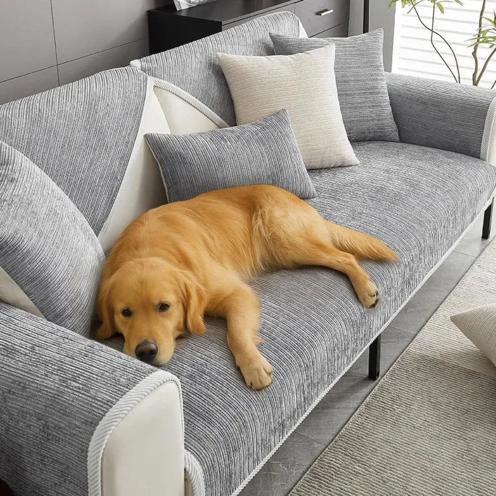 Golden retriever endormi sur un canapé recouvert d'une housse grise à fines côtes, avec liseré blanc et coussins assortis. 2