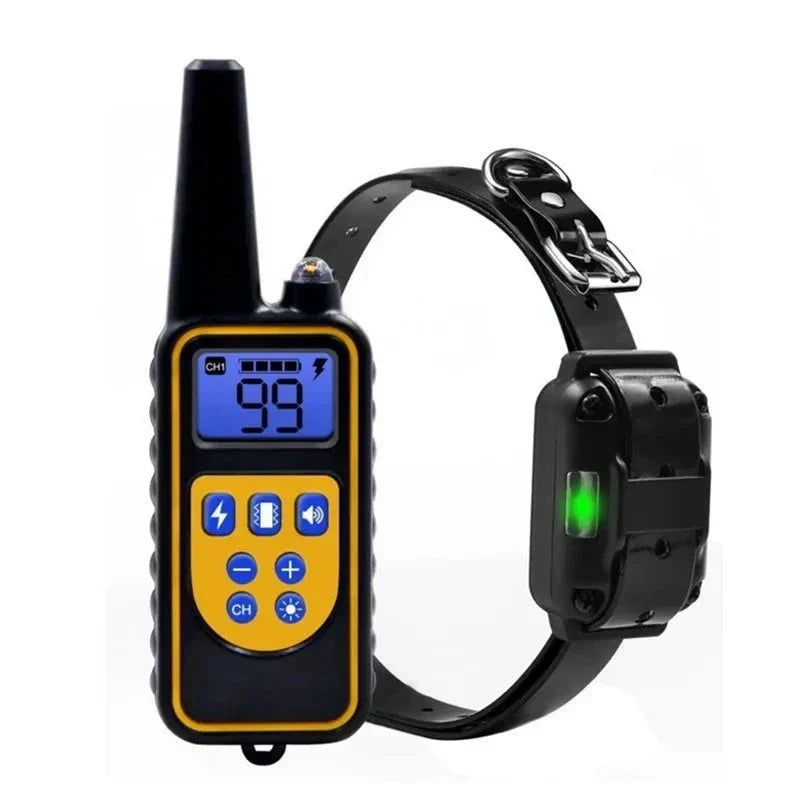 Télécommande noire et jaune à écran bleu posée devant un collier noir avec boîtier récepteur et voyant vert 1