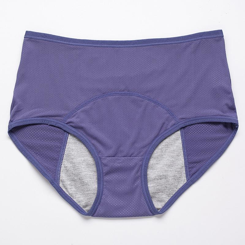 Culotte bleu violacé taille haute posée à plat, avec liseré de même couleur et doublure grise à l'entrejambe. 18
